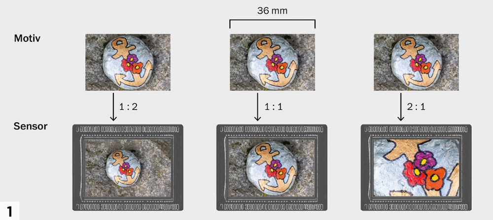 Wie groß ein Motiv bei verschiedenen Abbildungsmaßstäben auf einem Kleinbildsensor erscheint
