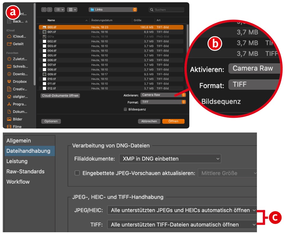 Camera Raw-Filter